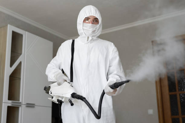 Trusted Home, WA Mold Inspection Experts